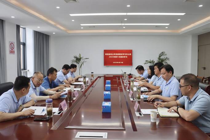 公司黨委中心組召開學(xué)習(xí)研討會